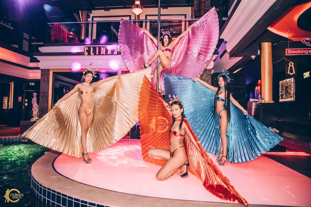 Live Shows - Image 35